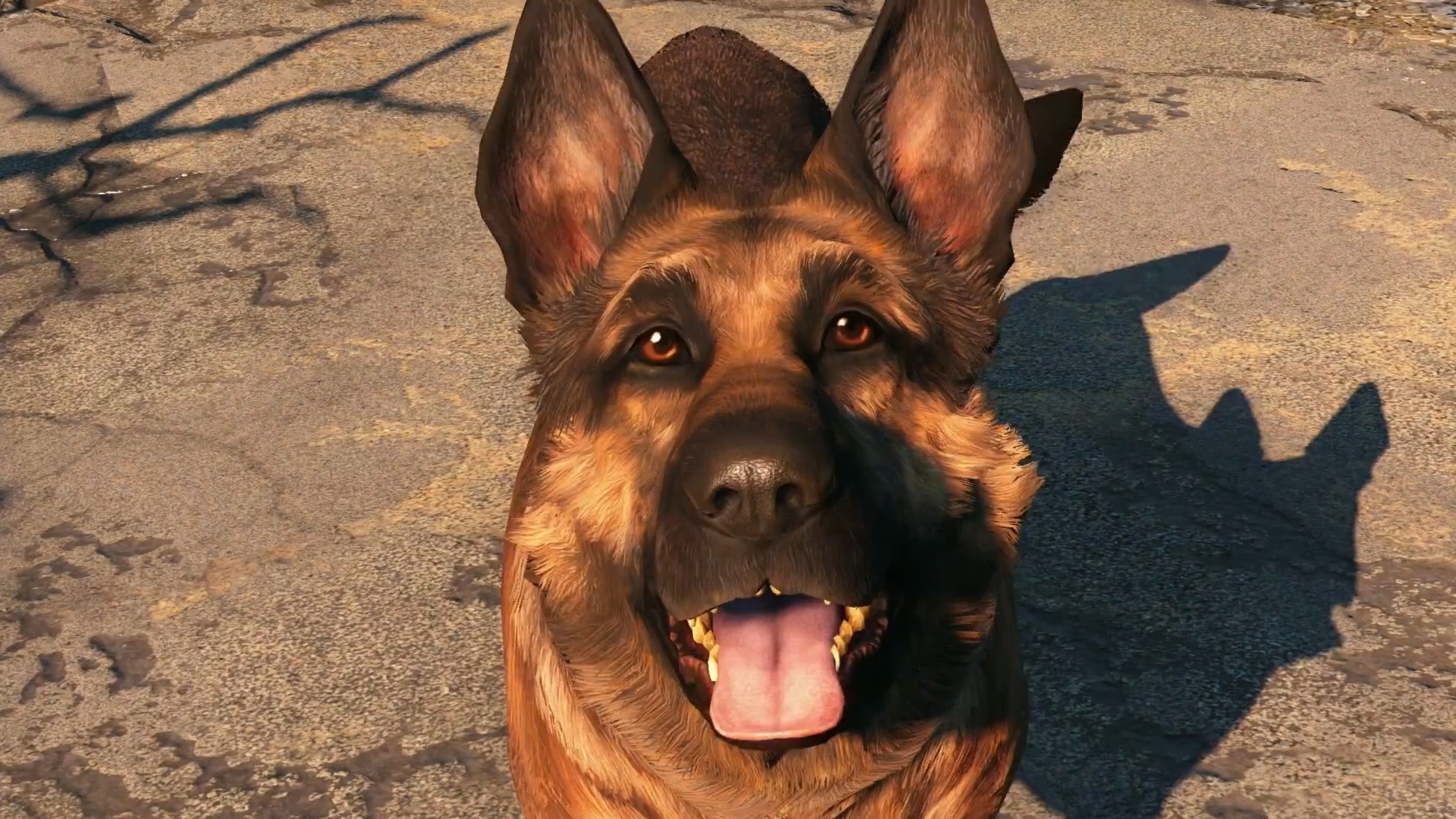 吸狗就是正义！游戏史上最棒的十只狗狗 17%title%