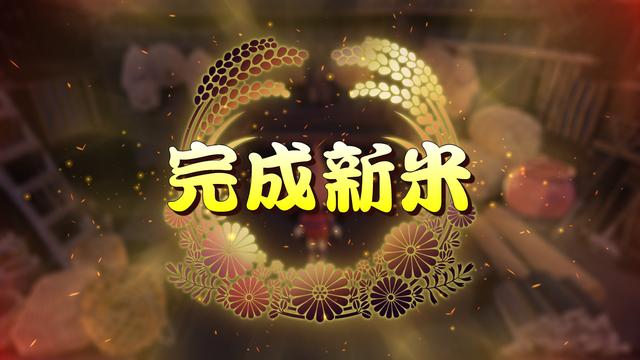 种稻就能变强？和风动作RPG《天穗之咲稻姬》体验报告-第11张