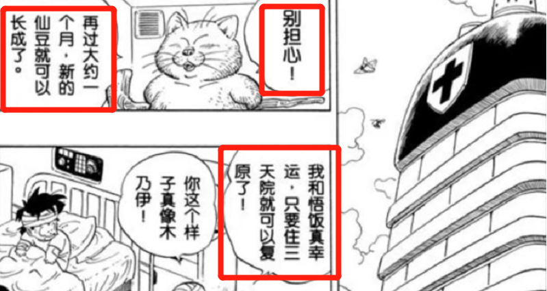 【影視動漫】七龍珠：孫悟空到底多少歲了，為什麼說他真的還很年輕呢？-第7張