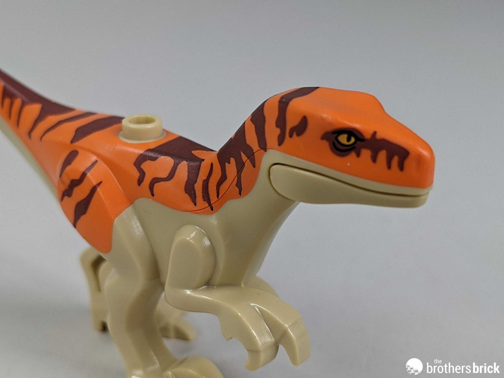 【周邊專區】樂高侏羅紀世界76948霸王龍與野蠻盜龍脫逃記開箱評測-第13張