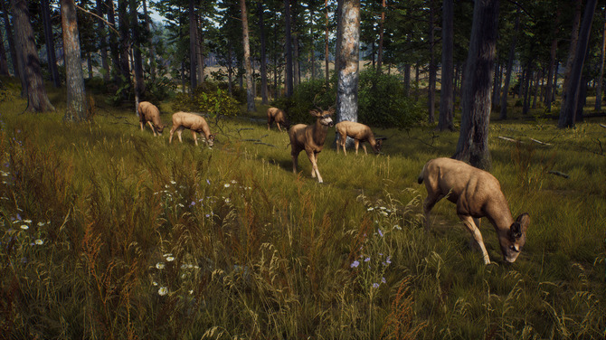 【PC游戏】开放世界狩猎动作游戏新作《猎人之路》发表！预告赏-第3张