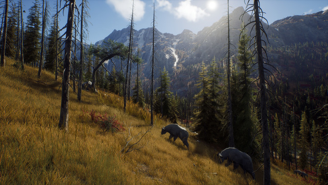 【PC游戏】开放世界狩猎动作游戏新作《猎人之路》发表！预告赏-第2张