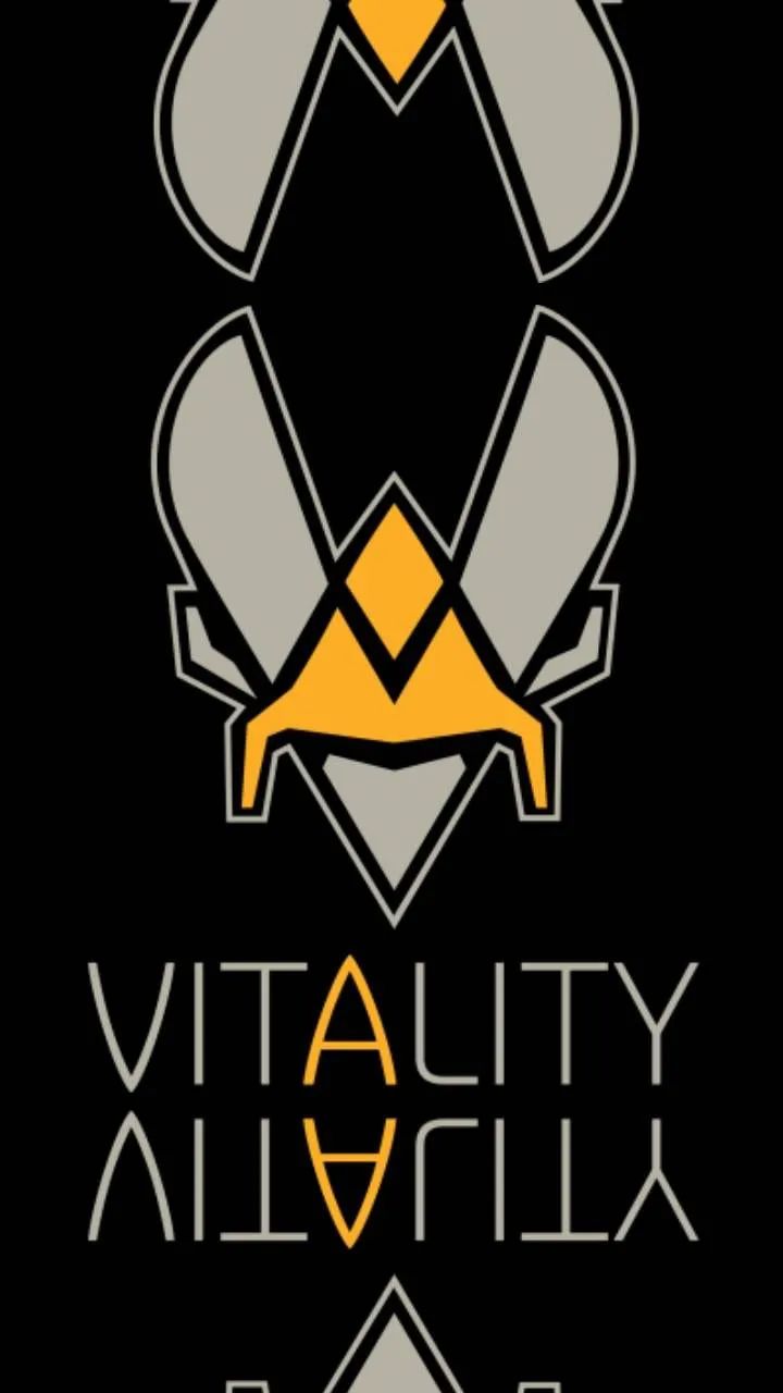 【CS:GO】CSGO壁纸｜小蜜蜂Vitality-第9张