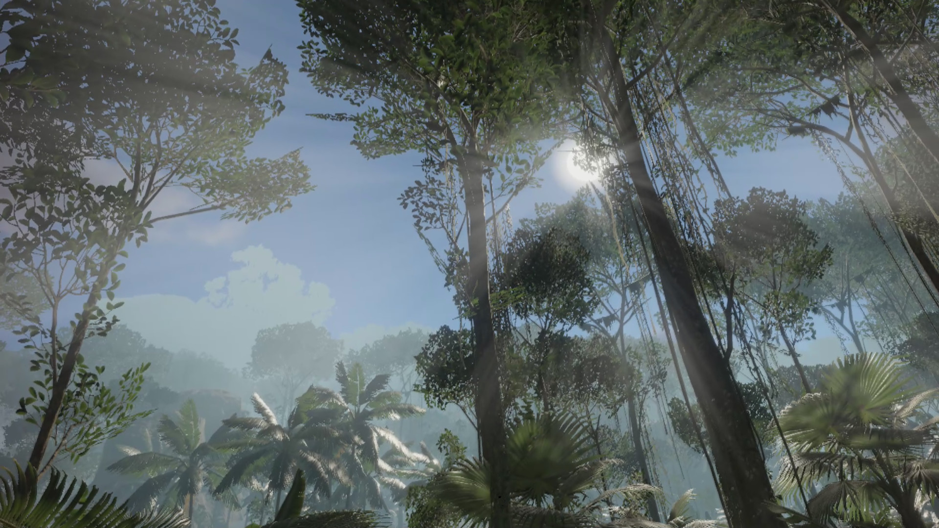 【PC游戏】模拟贝爷！硬核游戏《丛林地狱VR》Steam发售日期公开-第2张