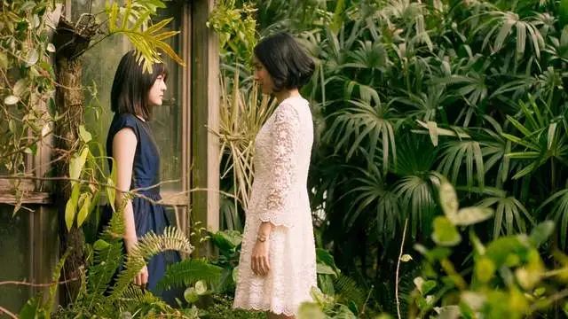 【拉片】「血观音」第二回：你在前厅送礼，我在后院群聊-第5张