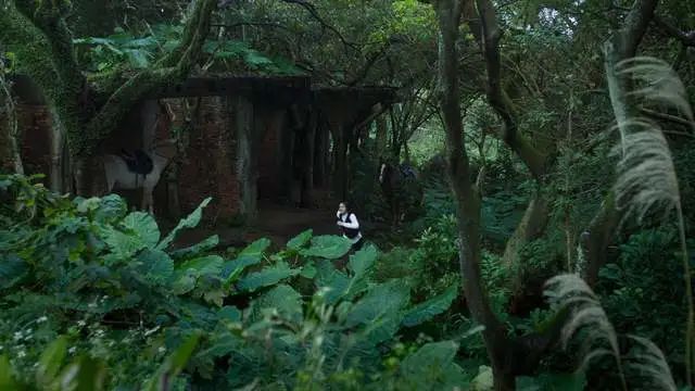 【拉片】「血觀音」第三回：買古董送滅門慘案-第24張