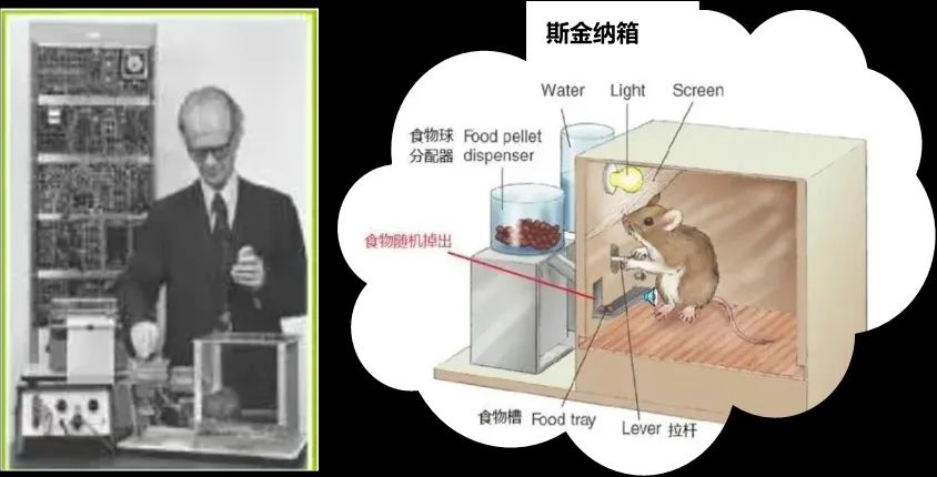 【PC游戏】想知道自己是“欧皇”还是“非酋”？问问随机性就知道了-第3张