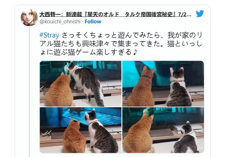 【PC遊戲】貓貓大冒險《Stray》引發網友曬貓熱潮，主子也被吸引-第6張