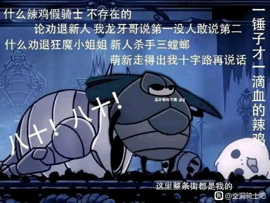 【PC遊戲】與光為敵，向神揮刃——《空洞騎士》的孤獨巡禮-第5張