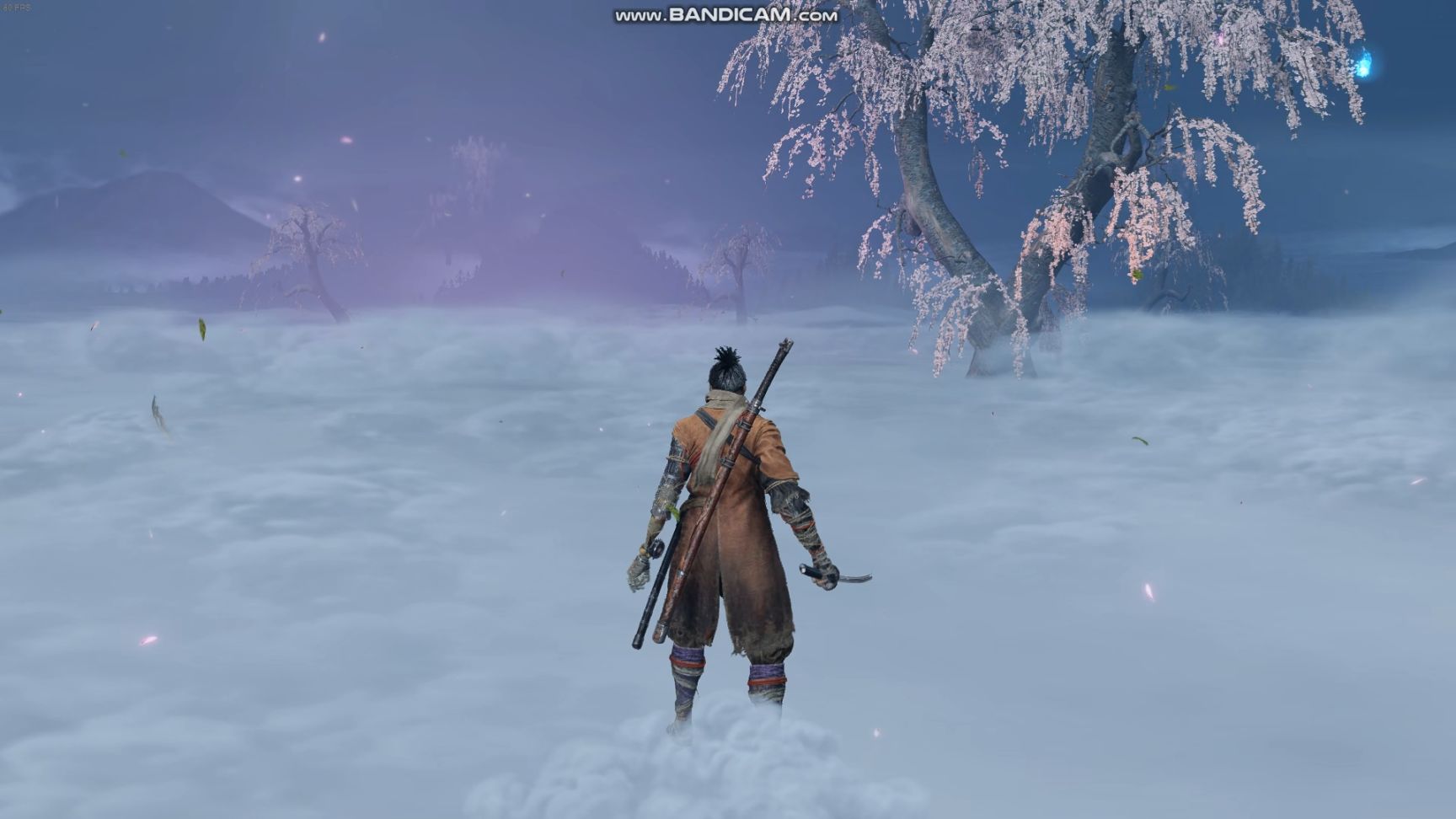【PC遊戲】只狼大型mod—孑影長蔭v19新增支線介紹（下）-第75張