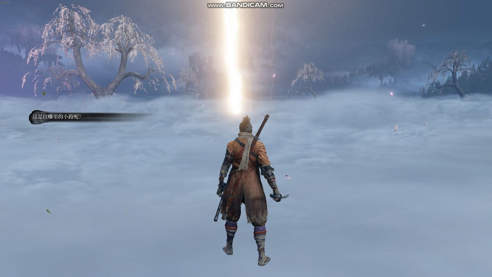【PC遊戲】只狼大型mod—孑影長蔭v19新增支線介紹（下）-第81張