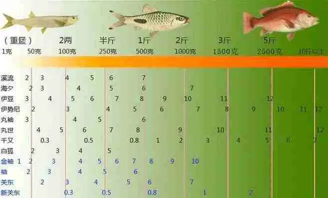【PC游戏】天不生我钓鱼佬，钓道万古终如夜！-第19张
